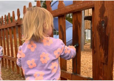 Painting the Fence